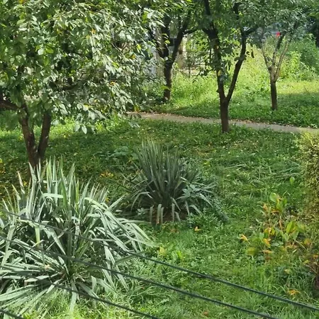 Untold Arena Studio- 2 Min Walk To Arena *